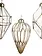 Tear Drop Ornament Transparent Gold