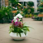 Custom Arrangement Request 