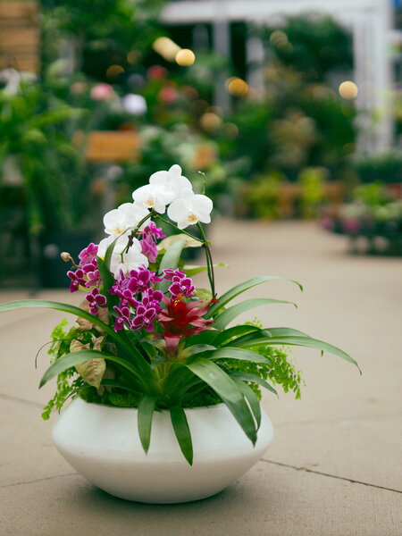 Custom Arrangement Request