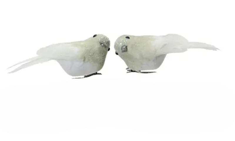 Clip On Bird