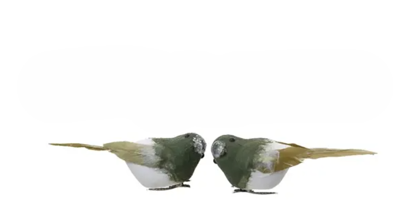Clip On Bird