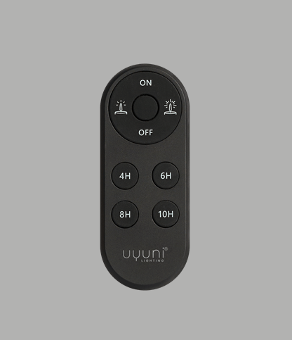 Black Remote Control