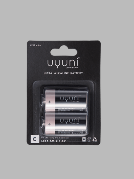 1.5V Battery 2 Pack
