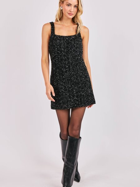 Sadie and Sage Luster Sequin Mini Dress