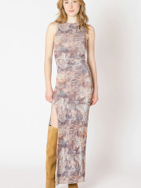 Dex Shirred Mesh Dress