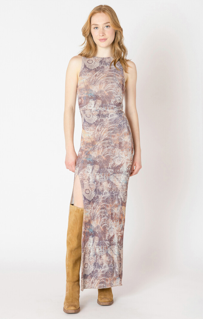 Dex Shirred Mesh Dress