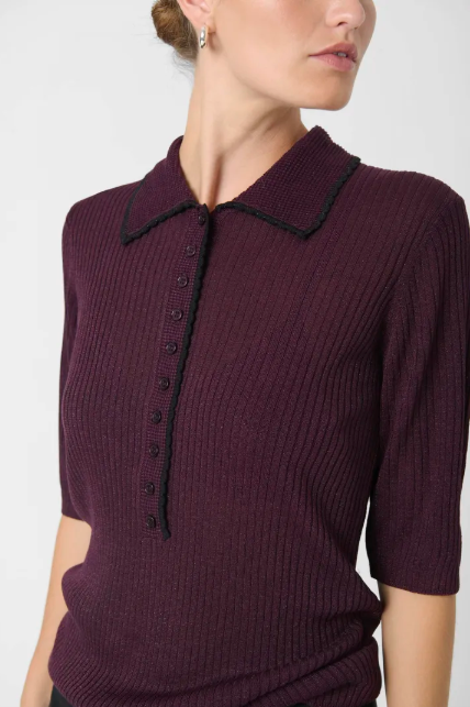 Soaked in Luxury Laisa Polo Pullover