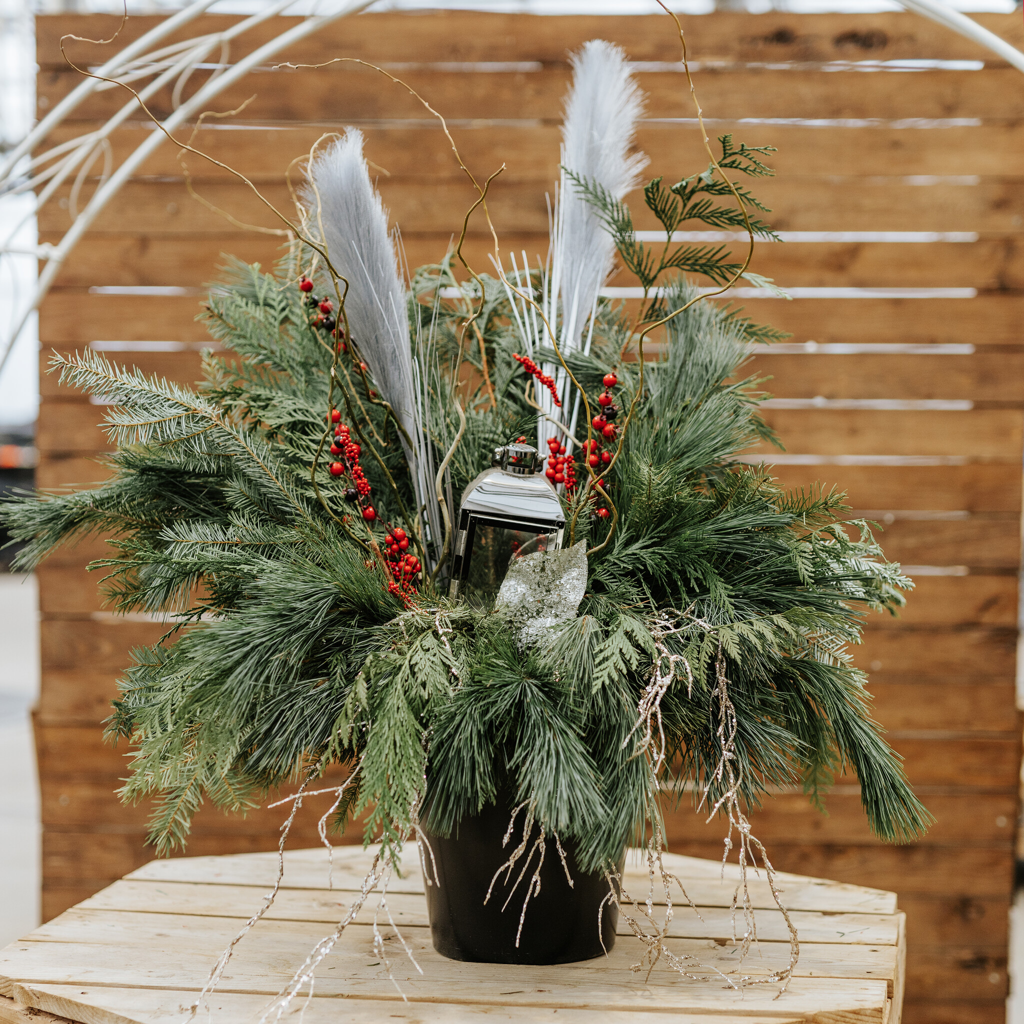 Live Greens Holiday Porch Pot Make & Take Workshop | Nov 29th @ 11am '25