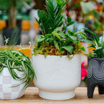 Real Estate Client Arrangements