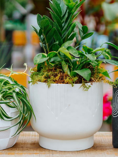 Real Estate Client Arrangements