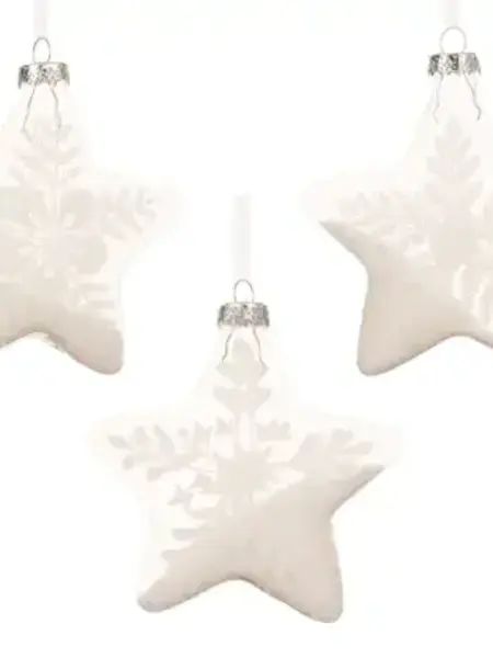 Snowy Star Ornament