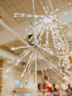 Micro LED Polestar Lights