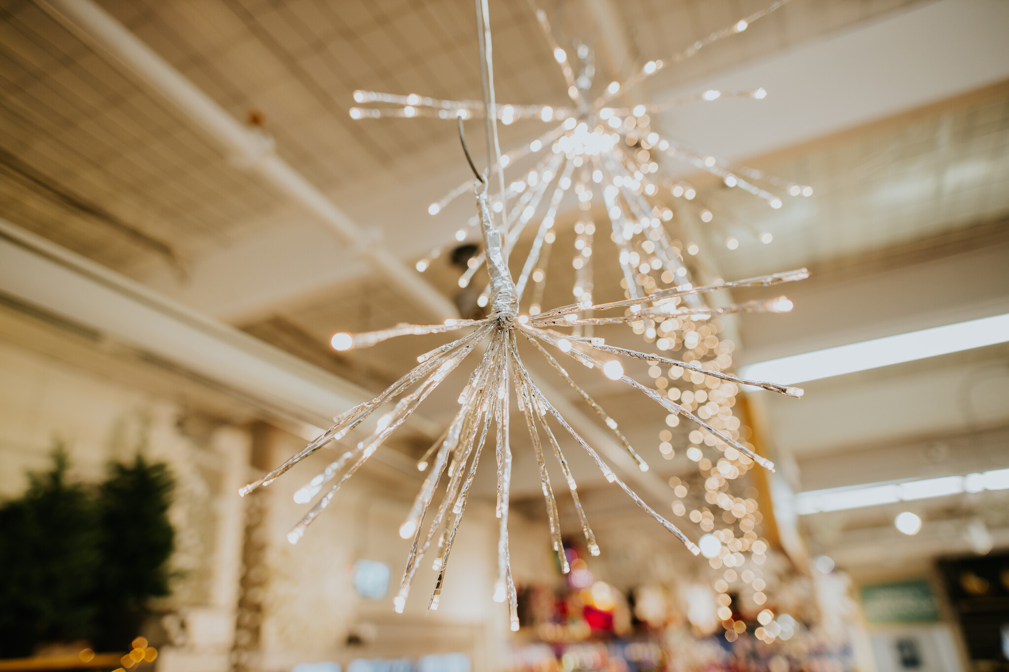 Micro LED Polestar Lights