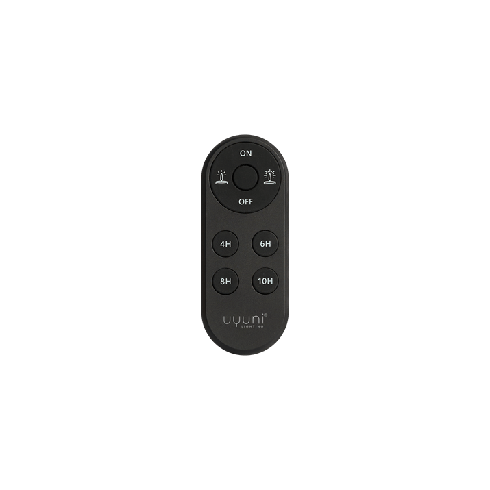 Black Remote Control