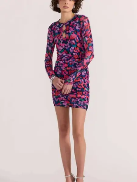 MinkPink Calista Ruched Mesh Mini Dress