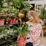 Valentines Day Collection