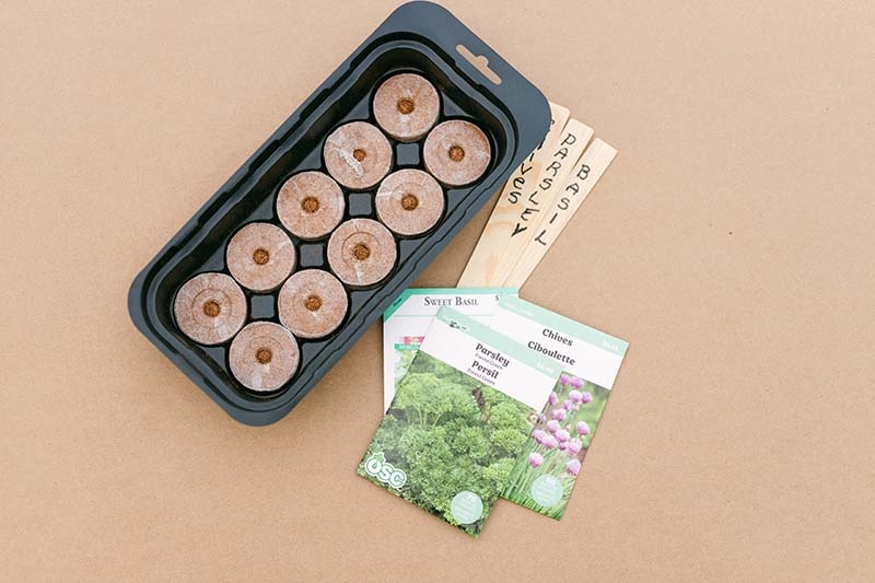 Dutch Growers Kids Seed Planting Workshop -February 17th & 18th-