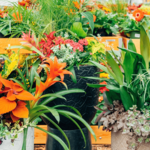 Planting & Installation Services