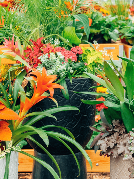 Planting & Installation Services