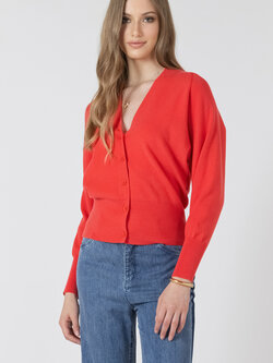 Dex Clean Button Front Cardigan