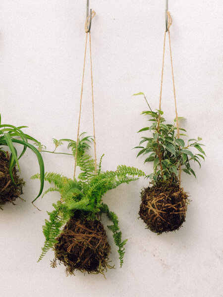 Mossed & Found: A Kokedama Experience - March 7th @ 2pm  Make & Take Class-
