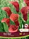 Florissa Calla Red Alert