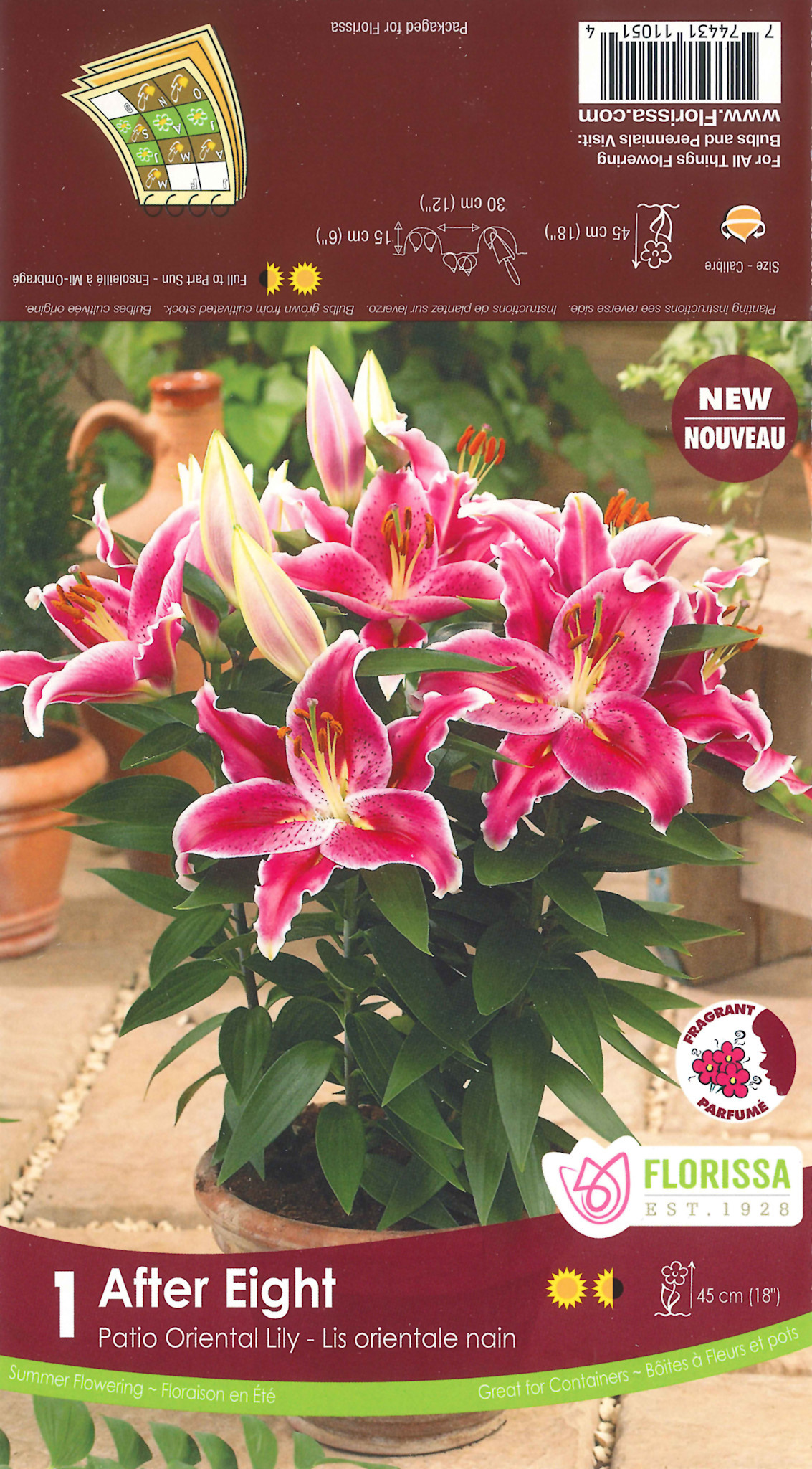 Lily Oriental After Eight Package