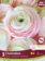 Ranunculus Chamallow