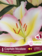 Lily Oriental Captain Tricolore Package