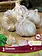 Garlic Siberian Tops