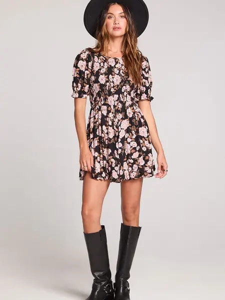 Saltwater Luxe Laurey Mini Dress