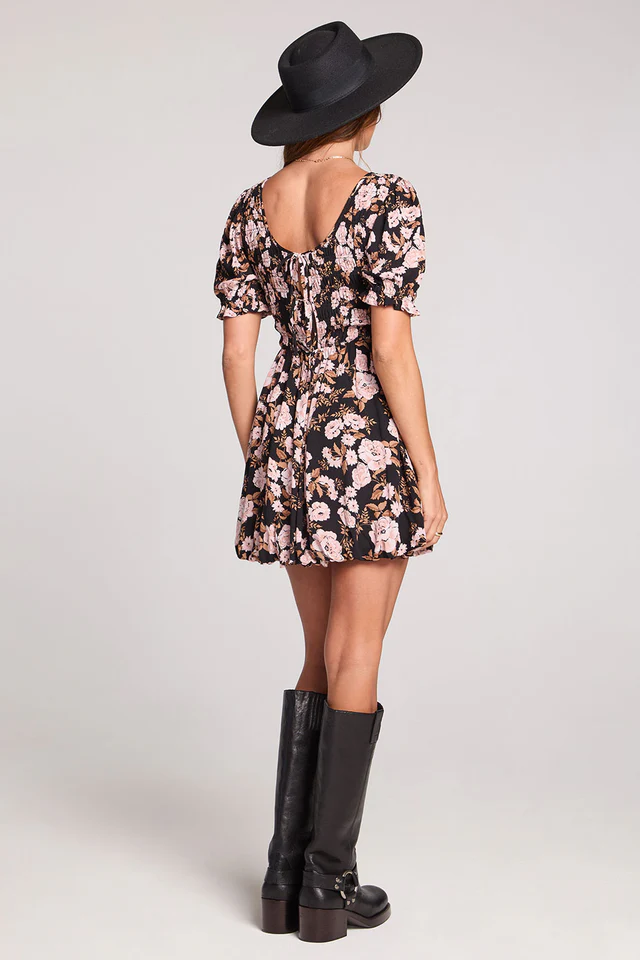 Saltwater Luxe Laurey Mini Dress