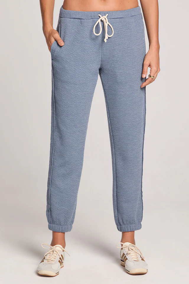 Saltwater Luxe Pull on Jogger Pants