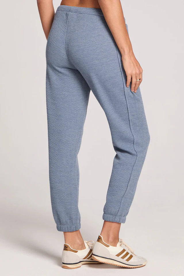 Saltwater Luxe Pull on Jogger Pants
