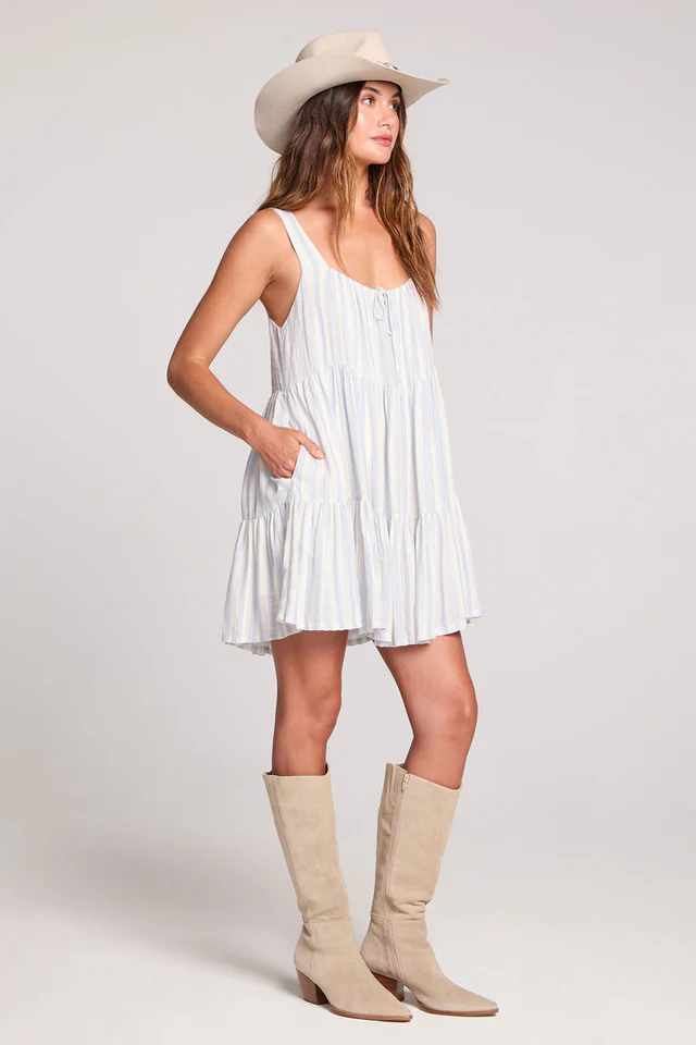 Saltwater Luxe Laurent Mini Dress