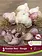 Garlic Red Bulbs