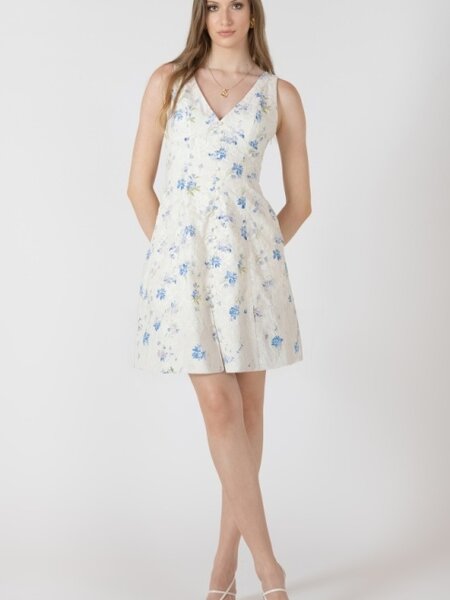 Dex Embroidered Mini Dress