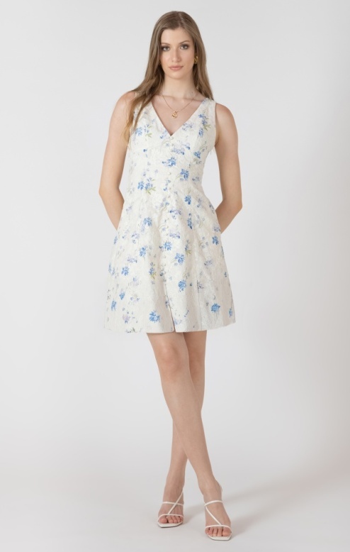 Dex Embroidered Mini Dress