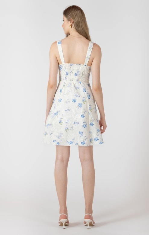 Dex Embroidered Mini Dress