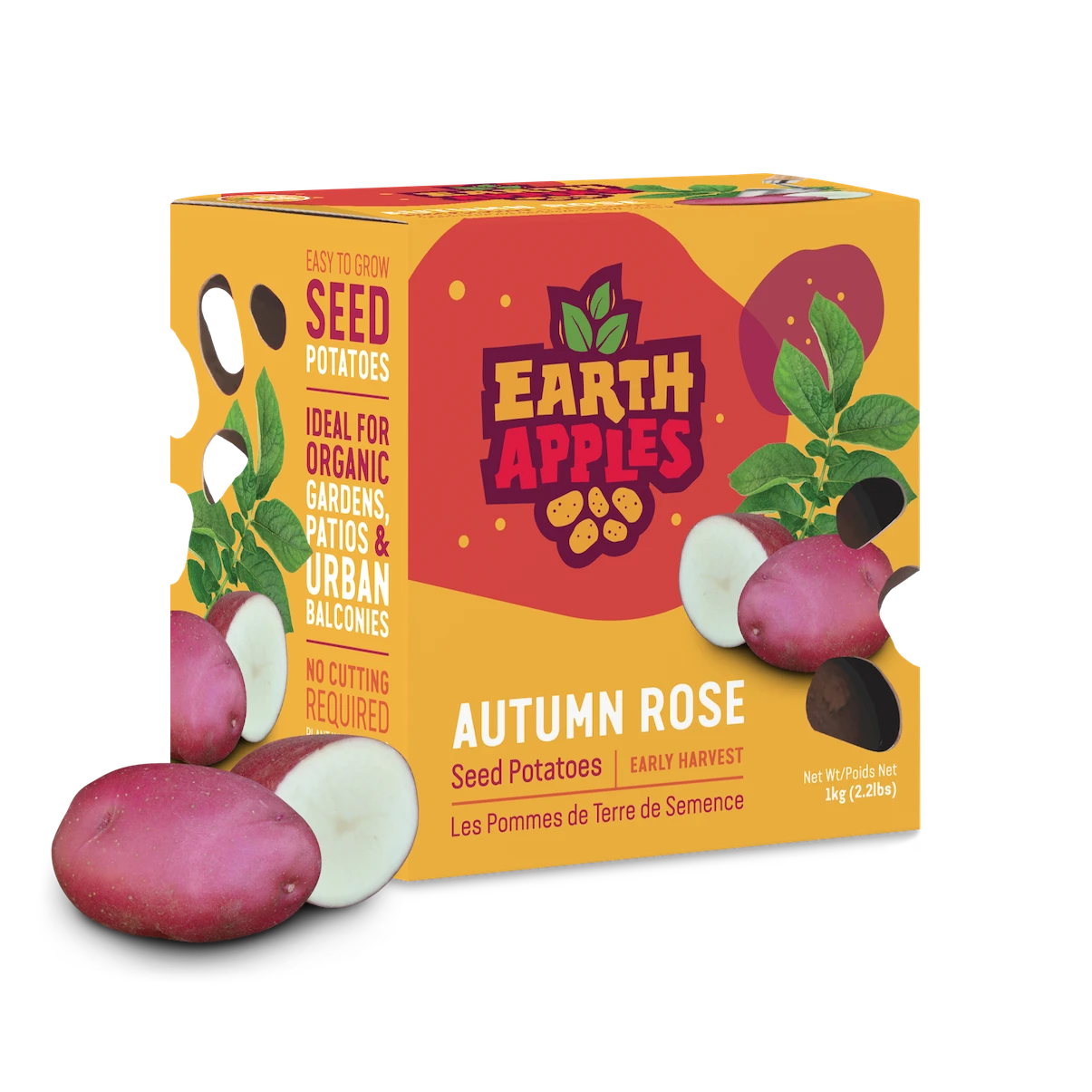 Earth Apples Autumn Rose Seed Potatoes 1kg