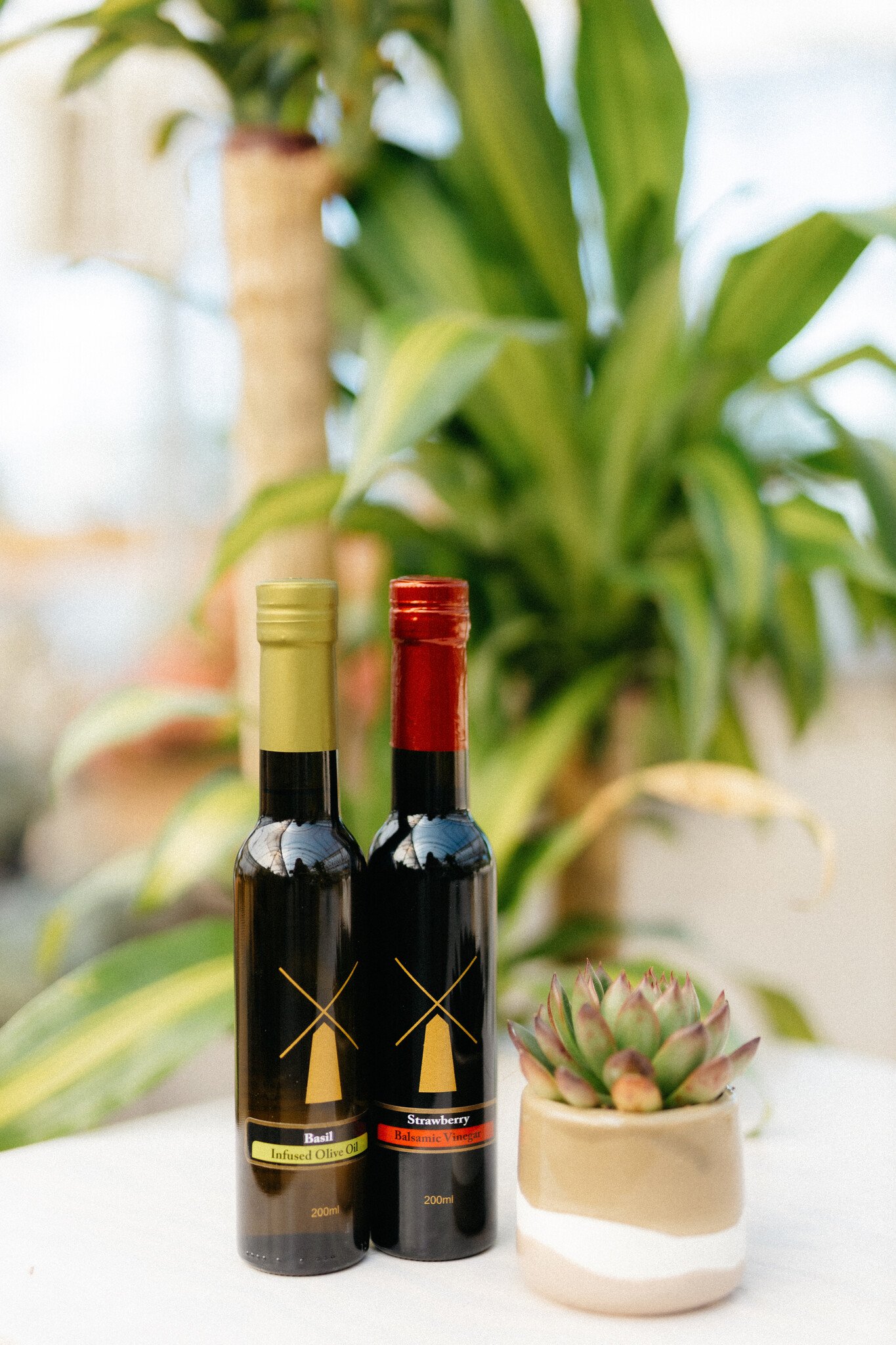 Dutch Growers Succulent + Olive Oil/Vinegar Gourmet Pairing