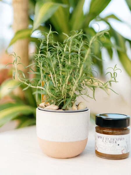 Dutch Growers Herb Planter + Gourmet Jam (Admin Day)