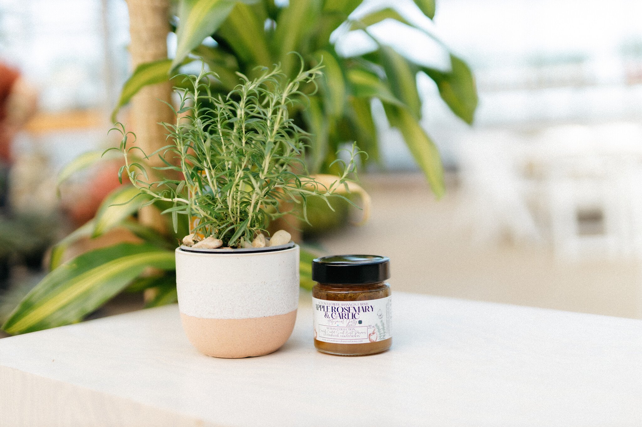 Dutch Growers Herb Planter + Gourmet Jam (Admin Day)