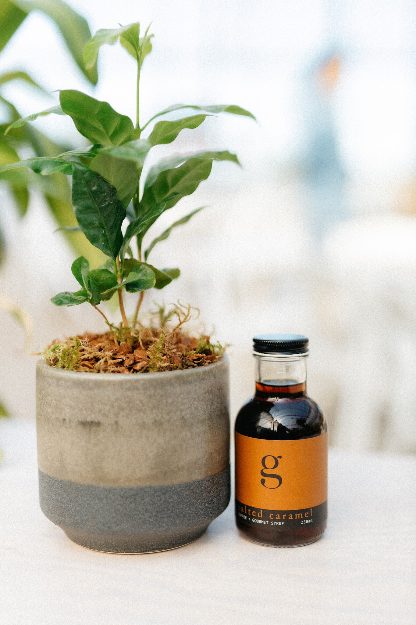 Dutch Growers Coffee Lovers Bundle (Admin Day)