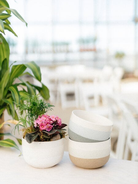 African Violet Plant Arrangement (Admin Day)