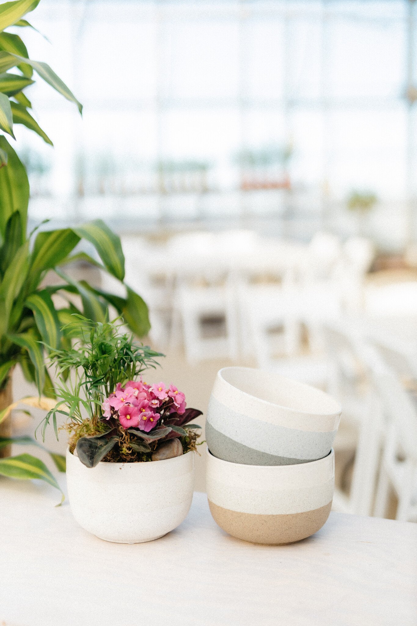 African Violet Plant Arrangement (Admin Day)