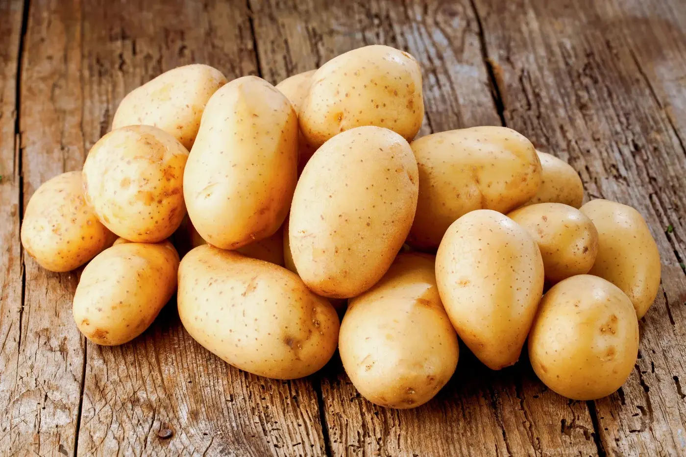 Potato Kennebec 5lb