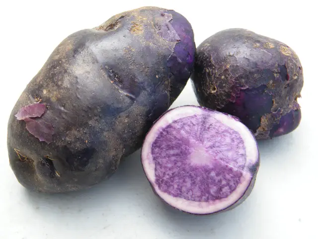 Potato Russian Blue 5lb