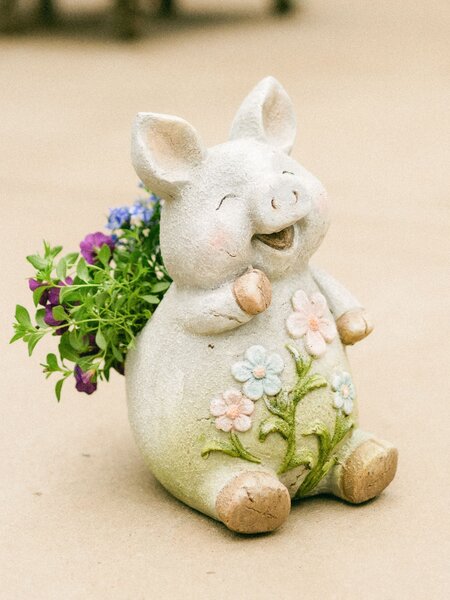 Dutch Growers Hogs + Kisses Mothers Day Arrangement