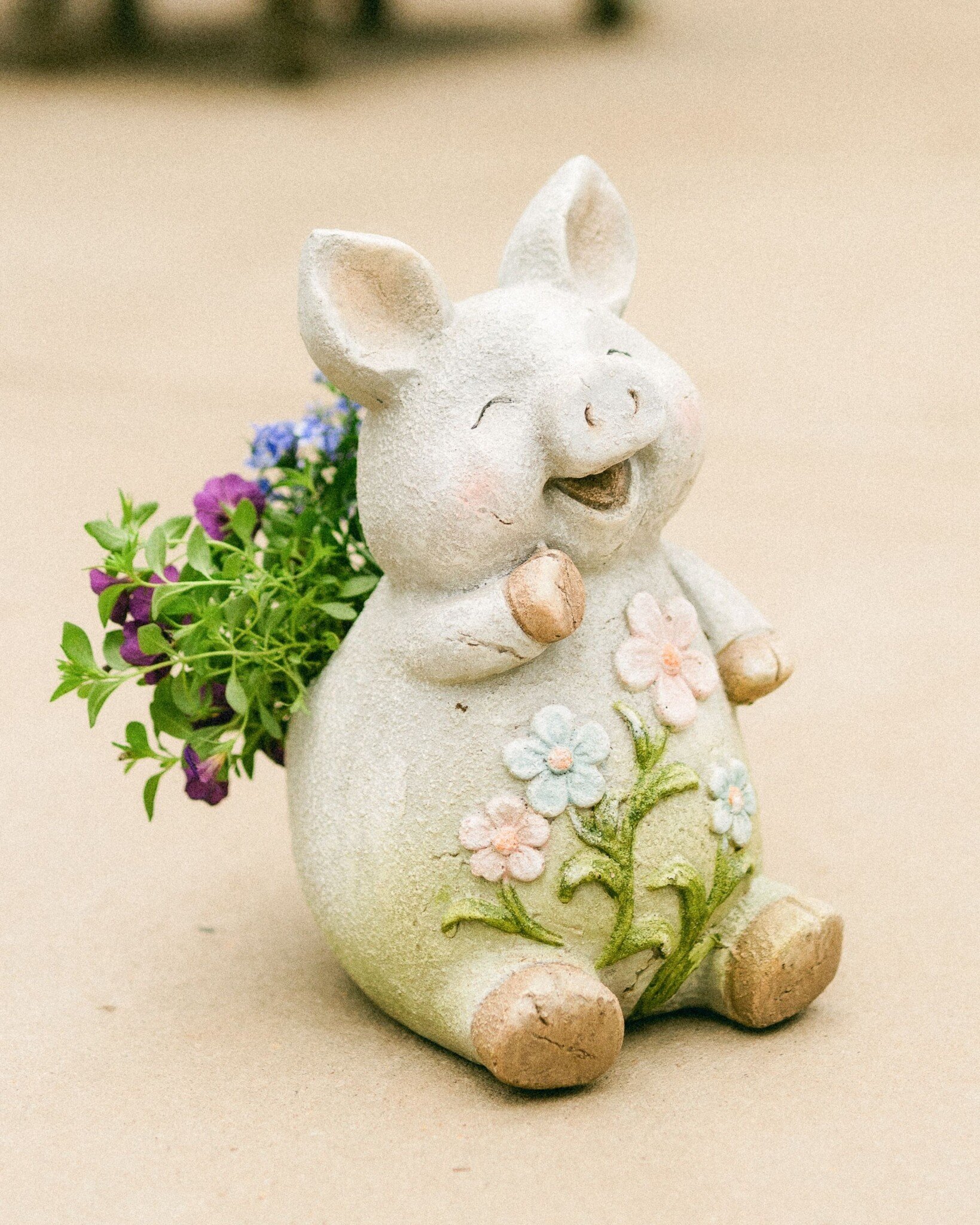 Dutch Growers Hogs + Kisses Mothers Day Arrangement